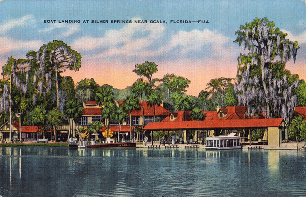 I can only imagine now, this postcard with Schiller Bikes lining the shores of central Florida’s majestic Silver Springs – public domain— Photo by Schiller Bikes