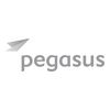Pegasus Named Best CRS for 2022 by Hotel Tech Report