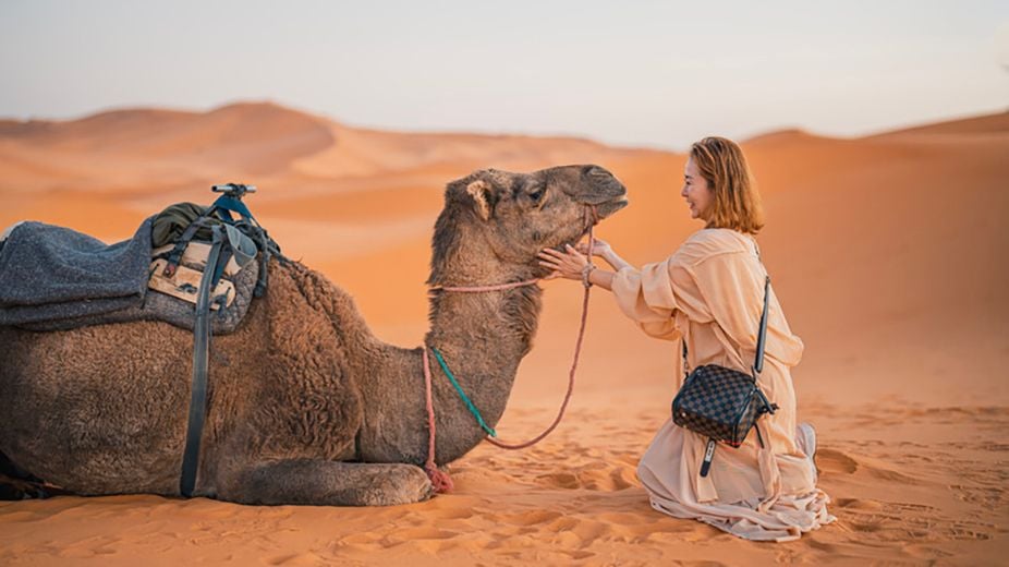 The Experiential Travel Boom: The Big Summer Travel Trends for 2024
