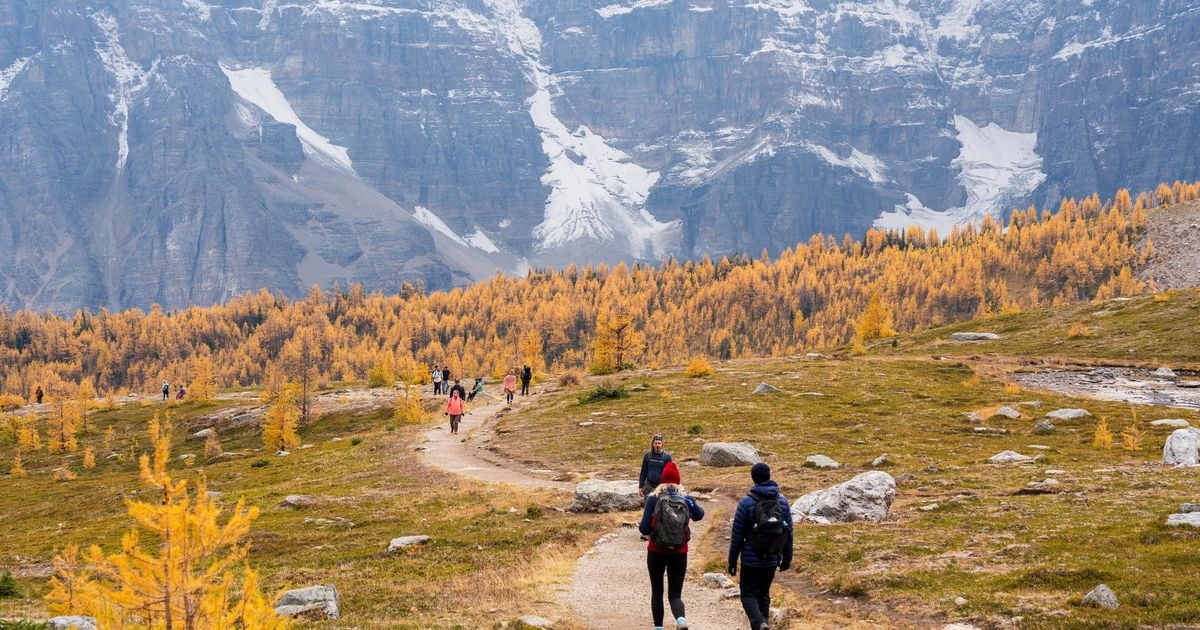 Booking.com survey shows travelers favor emotions and unconventional trips