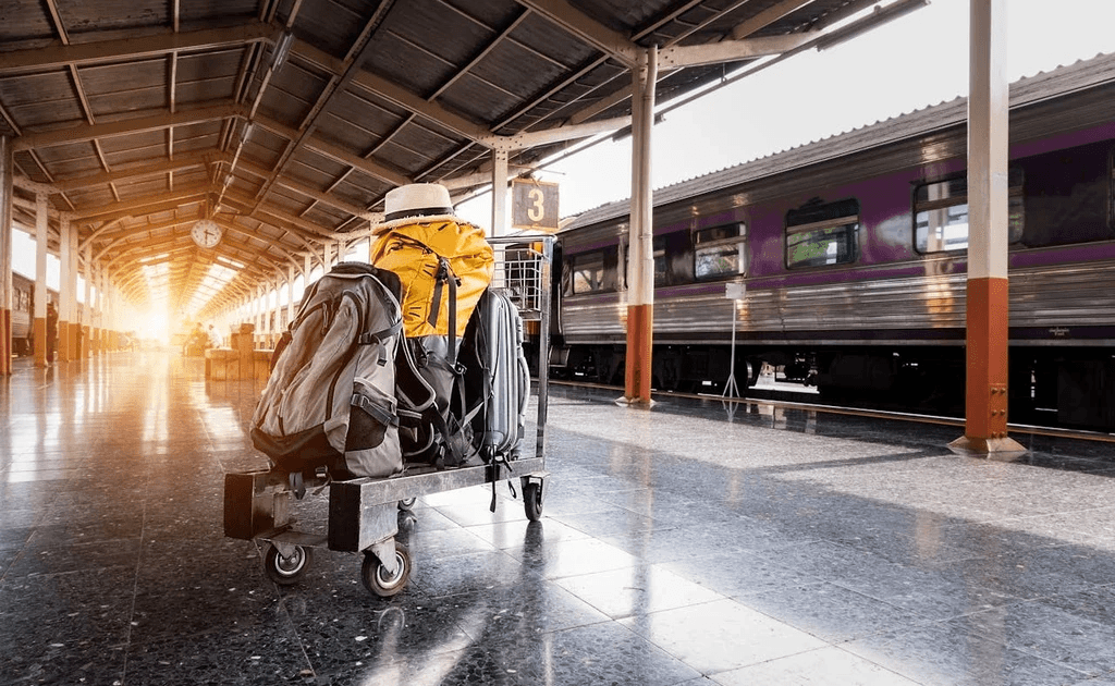 Domestic travel is surging in 2026: What hotel search data across the G20 tells us
