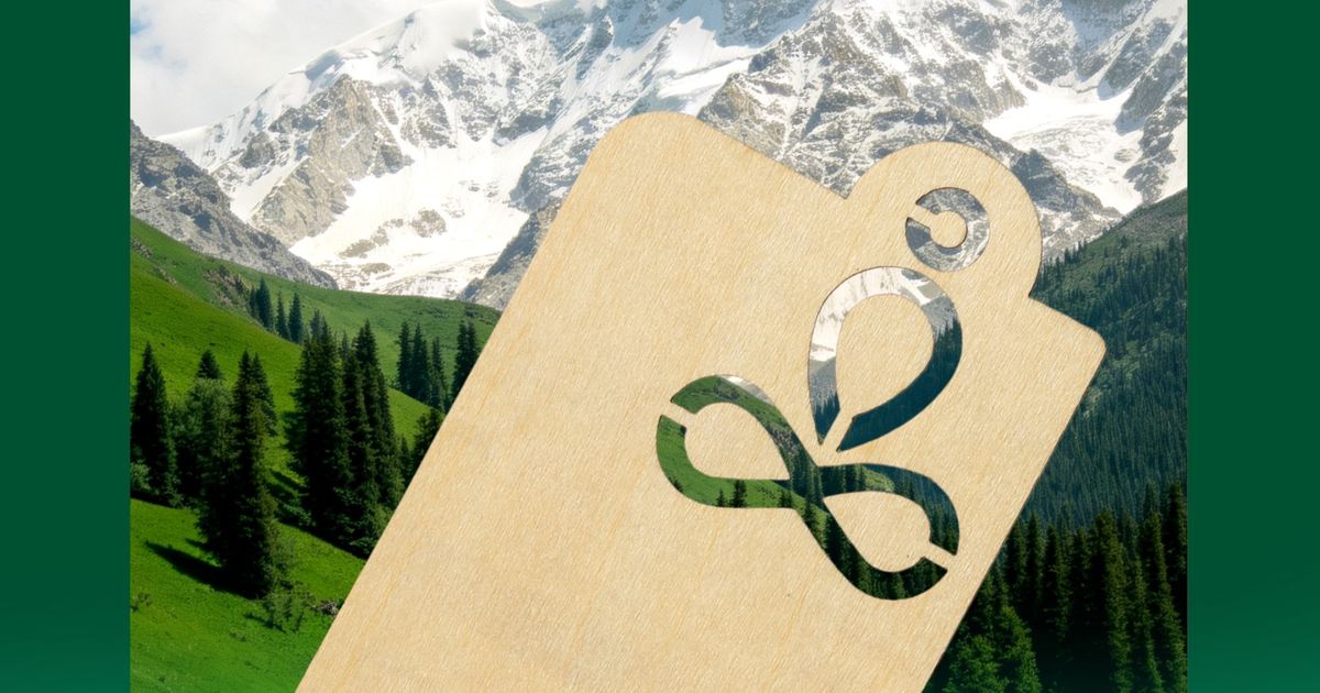 GCSTIMES Sustainability Strategy in Action: The Principles Behind Our Progress