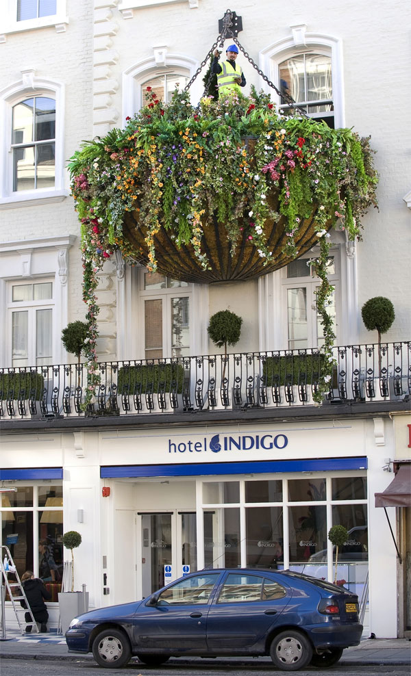 The world’s largest hanging flower basket unveiled at Hotel Indigo