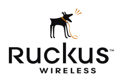 Ruckus Wireless