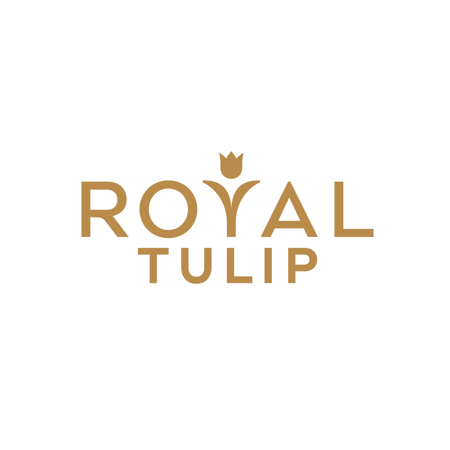 Royal Tulip 