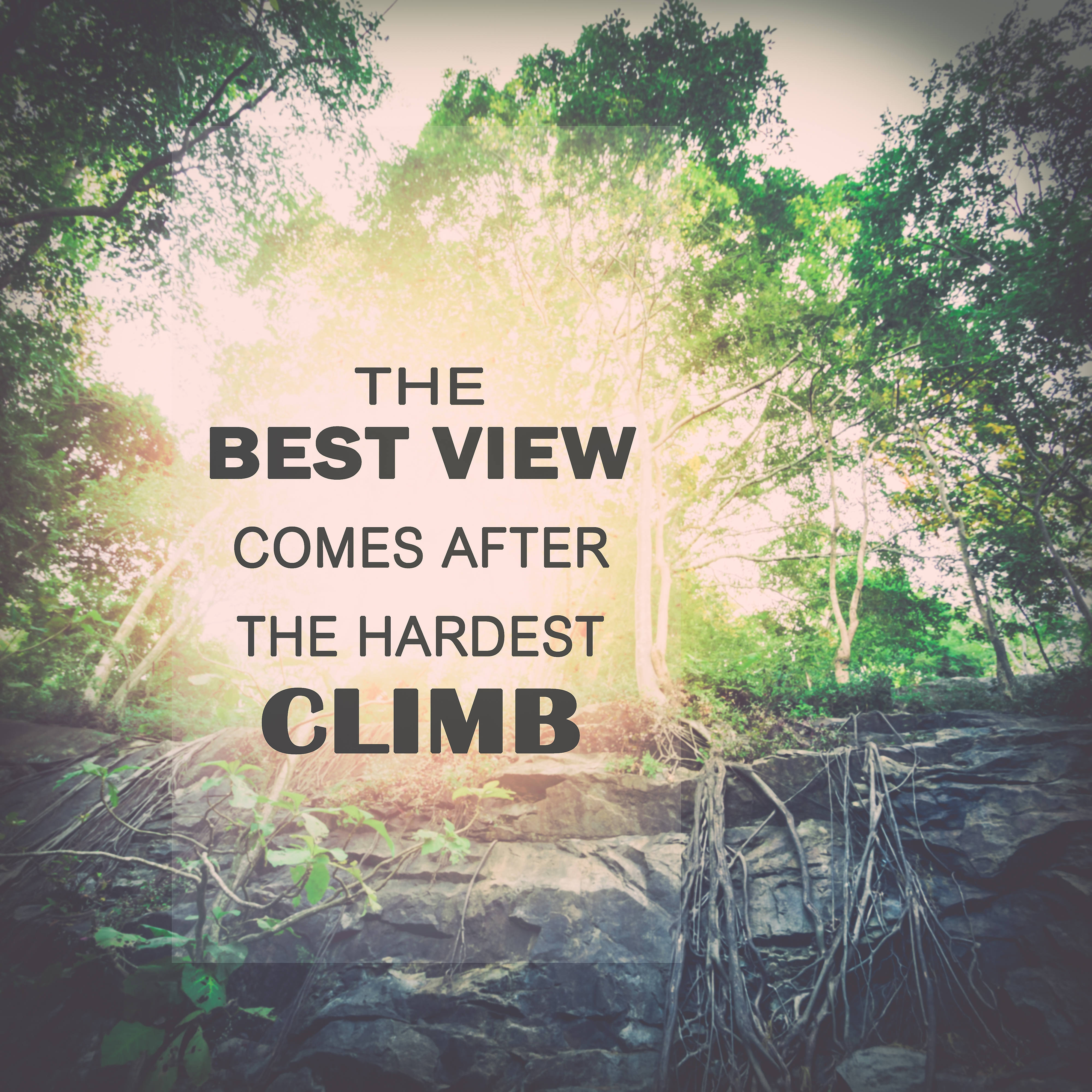 Copyright: surasaki— Photo by Jumia Travel