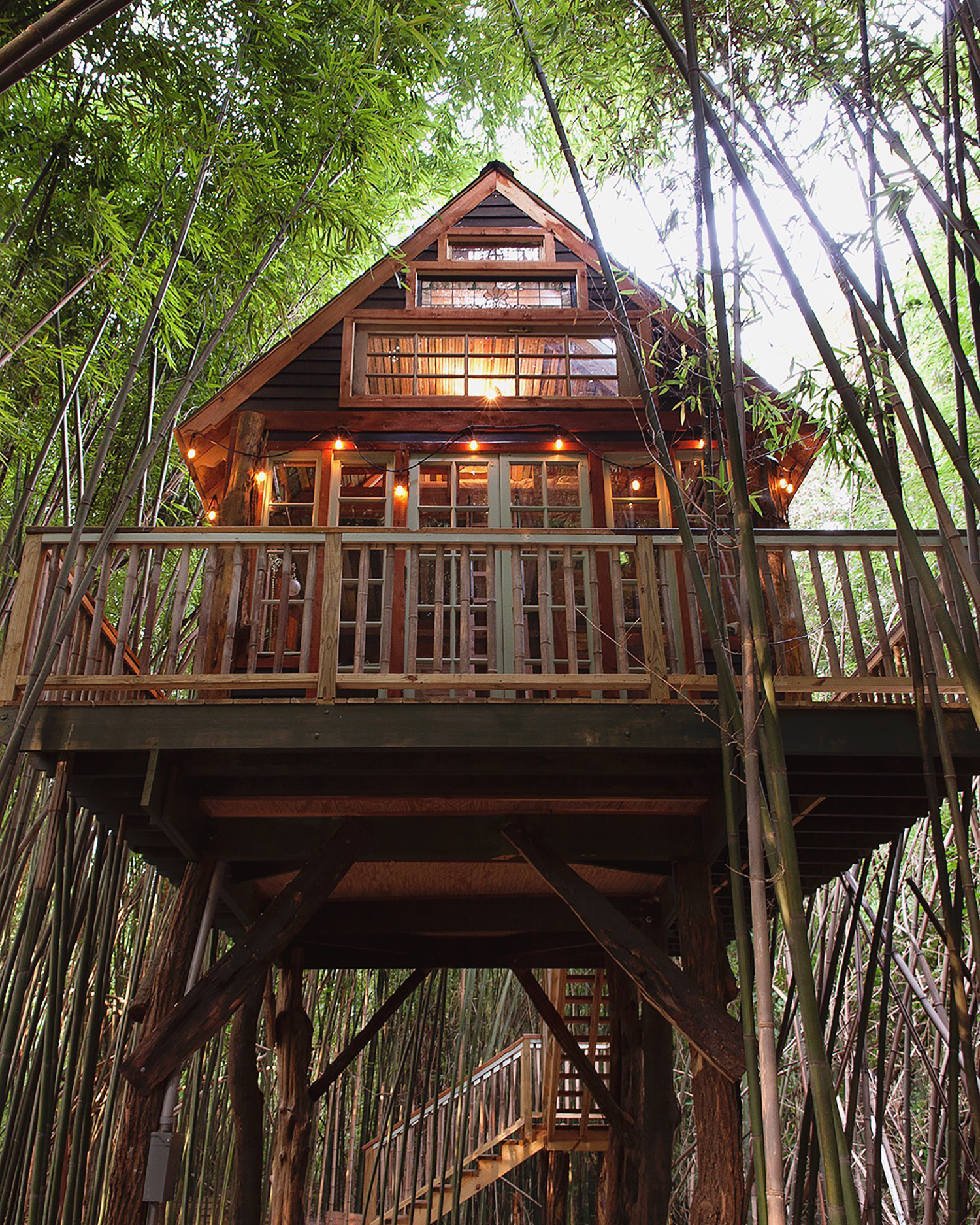 Treehouse in the Bamboo Forest, Atlanta, Georgia — Photo by Airbnb