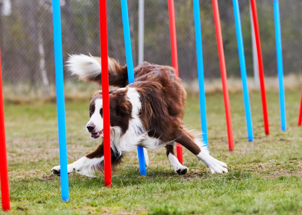 Source: Ira Vouk Hospitality 2.0 Consulting