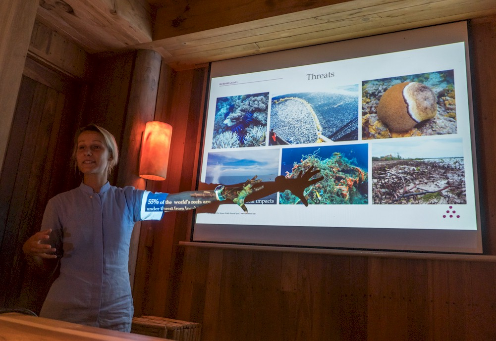 Marine conservation education for Guests at Six Senses Laamu, Maldives

— Photo by Six Senses
