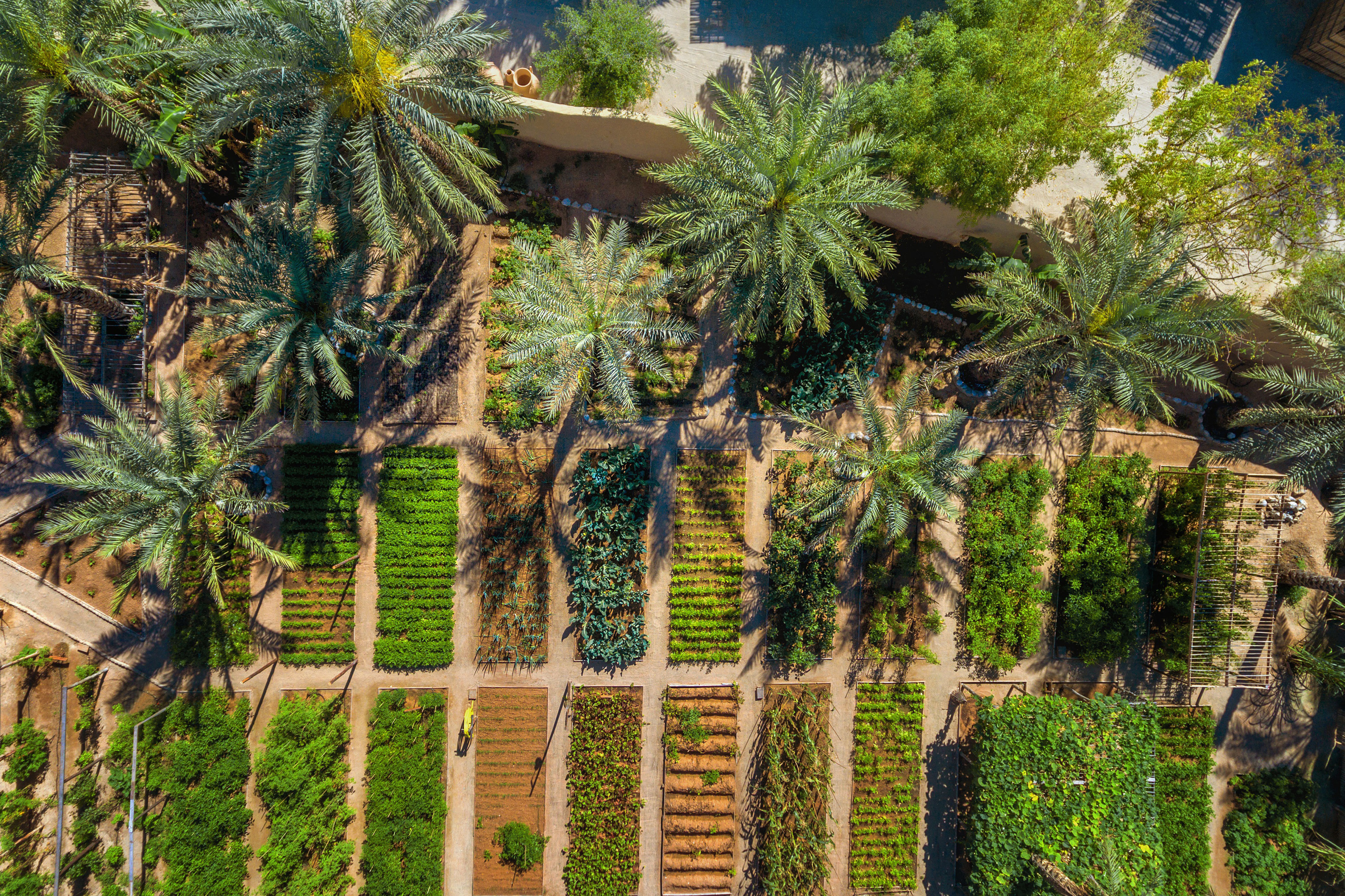 Six Senses Zighy Bay— Photo by IHG