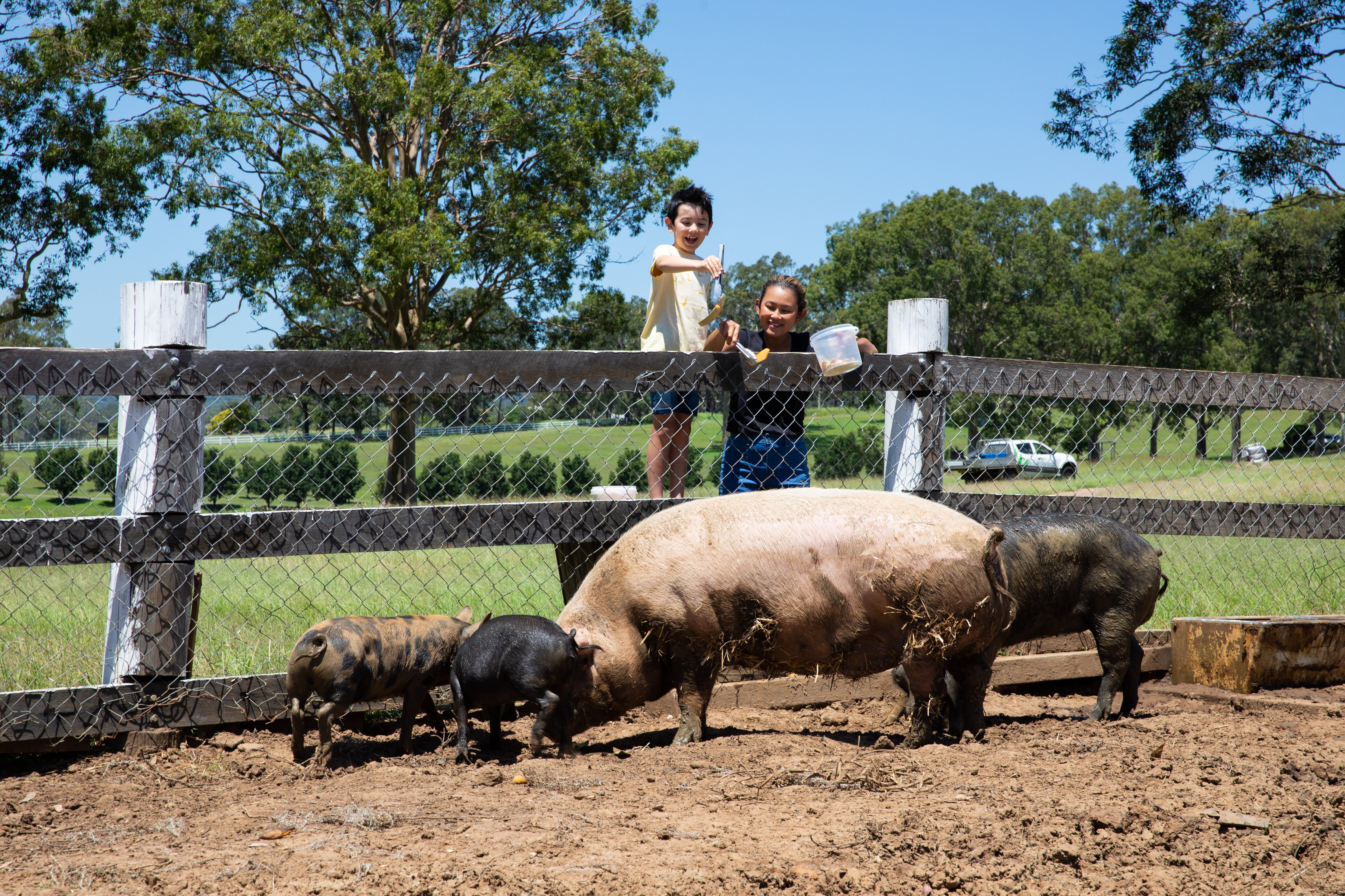 voco Kirkton Park Hunter Valley— Photo by IHG