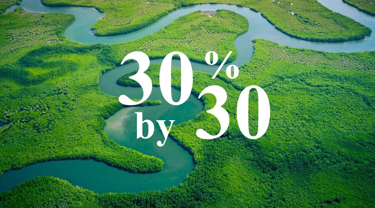 30x30 target: Where does the Hotel Sector stand?