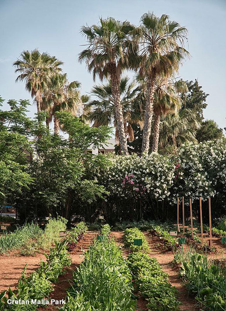 Cretan Malia Park— Photo by Marriott