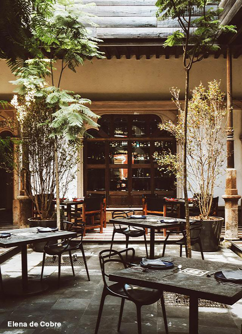 Elena de Cobre— Photo by Marriott