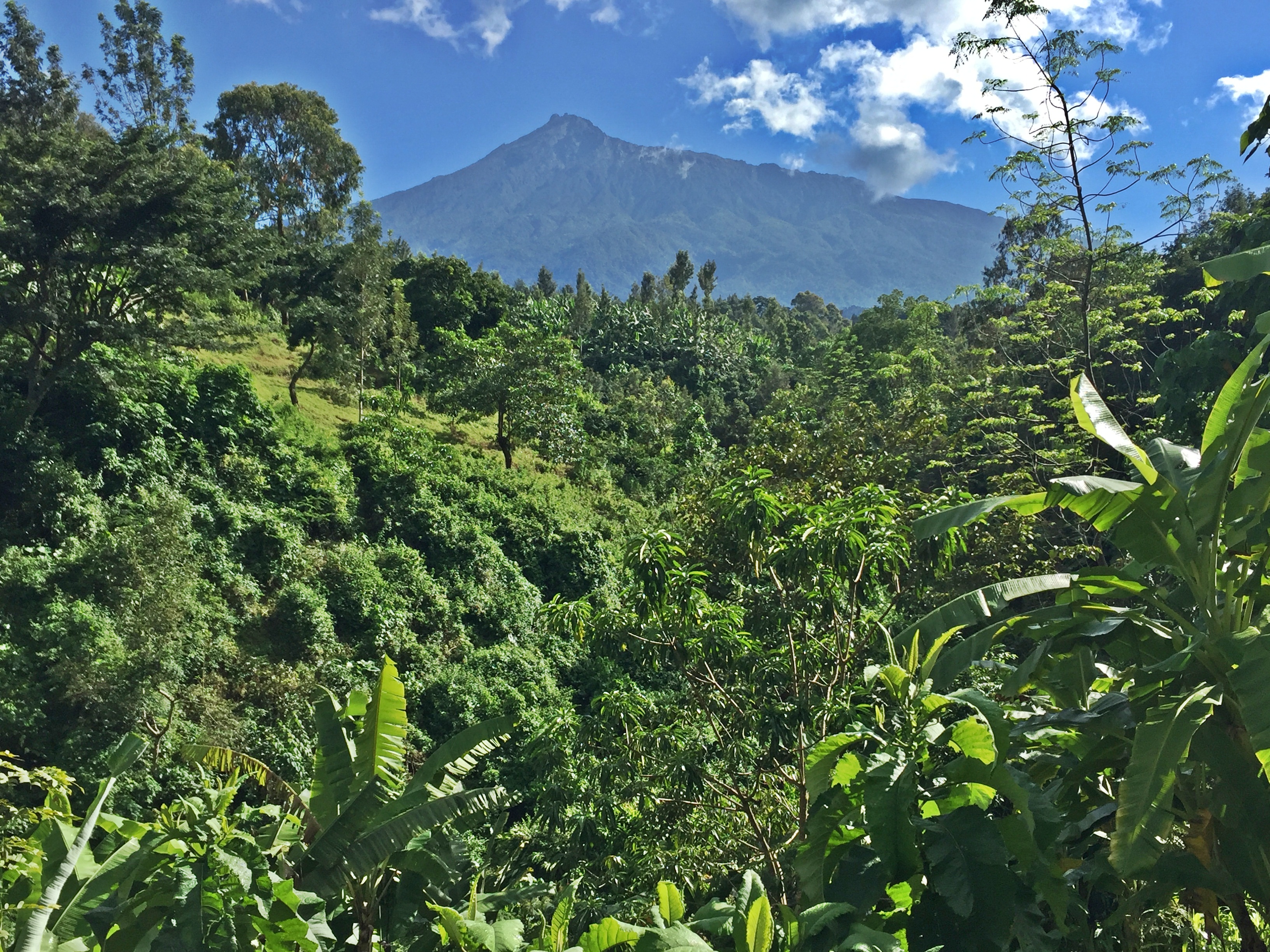 Banana Farm Eco Hostel — Photo by Booking.com