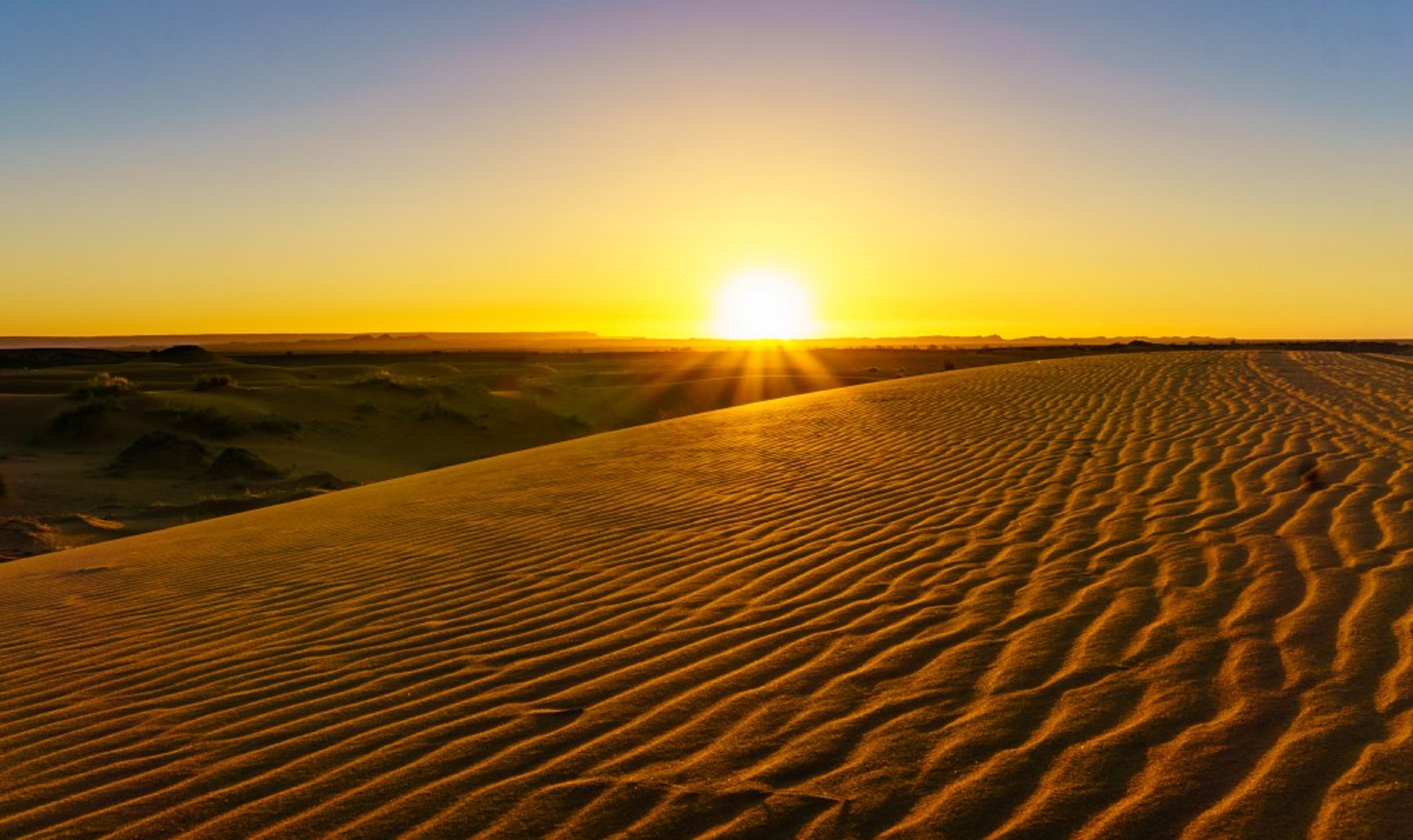 Ali & Sara's Desert Palace — Photo by Booking.com