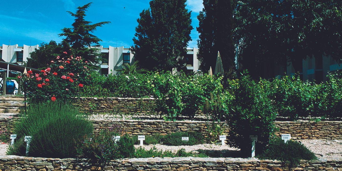 On-site organic garden – Novotel & ibis budget Marseille Est Porte d’Aubagne — Photo by Accor