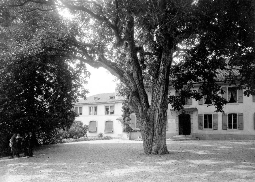 Figure 3: Photograph from the Domaine des Figuiers and the addition built in 1911. EHL Archives, Fonds audiovisuel, Bâtiments : Cour et annexe du bâtiment de l'Avenue de Cour, CH-000963-7 AV-PH-BB-SD-3-1, S.D. — Photo by EHL
