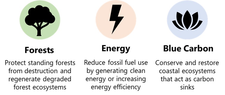 Project Types— Source: Sustainable Travel International