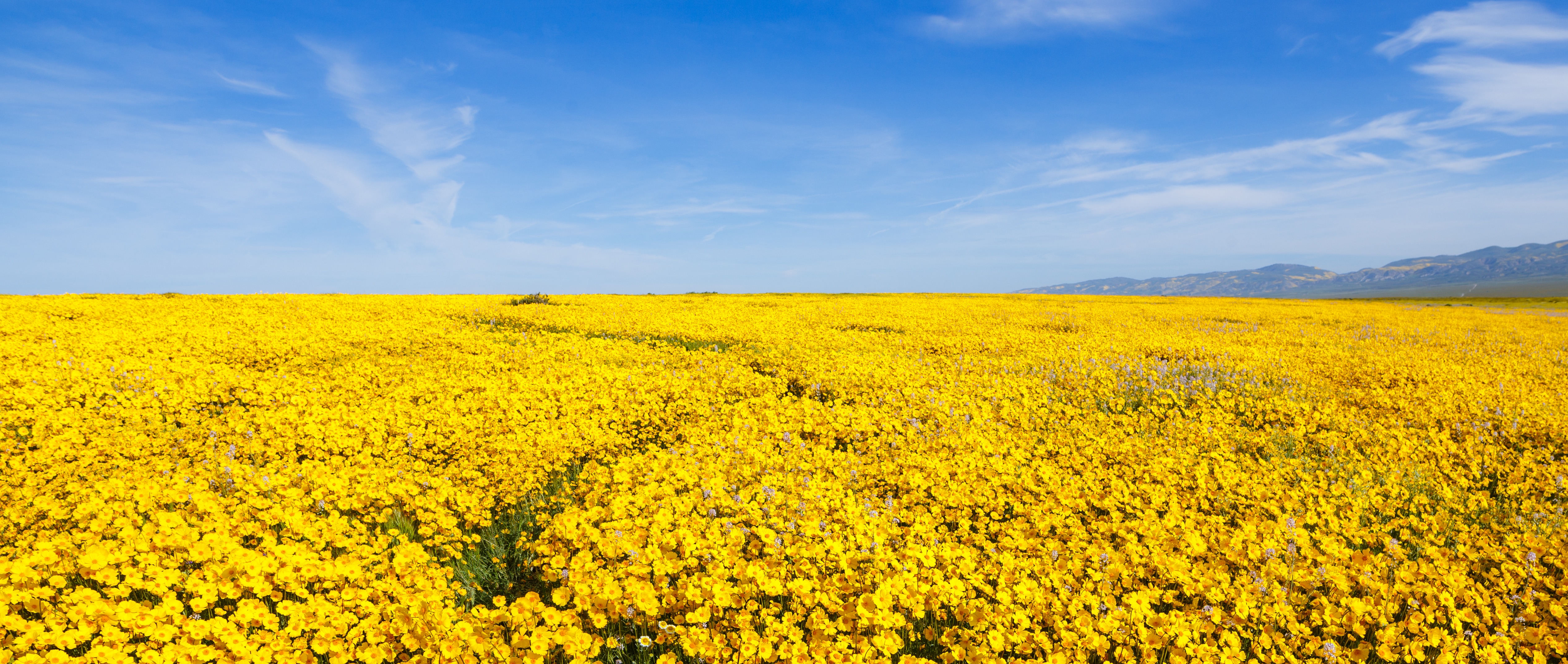 Central California, USA— Photo by Booking.com