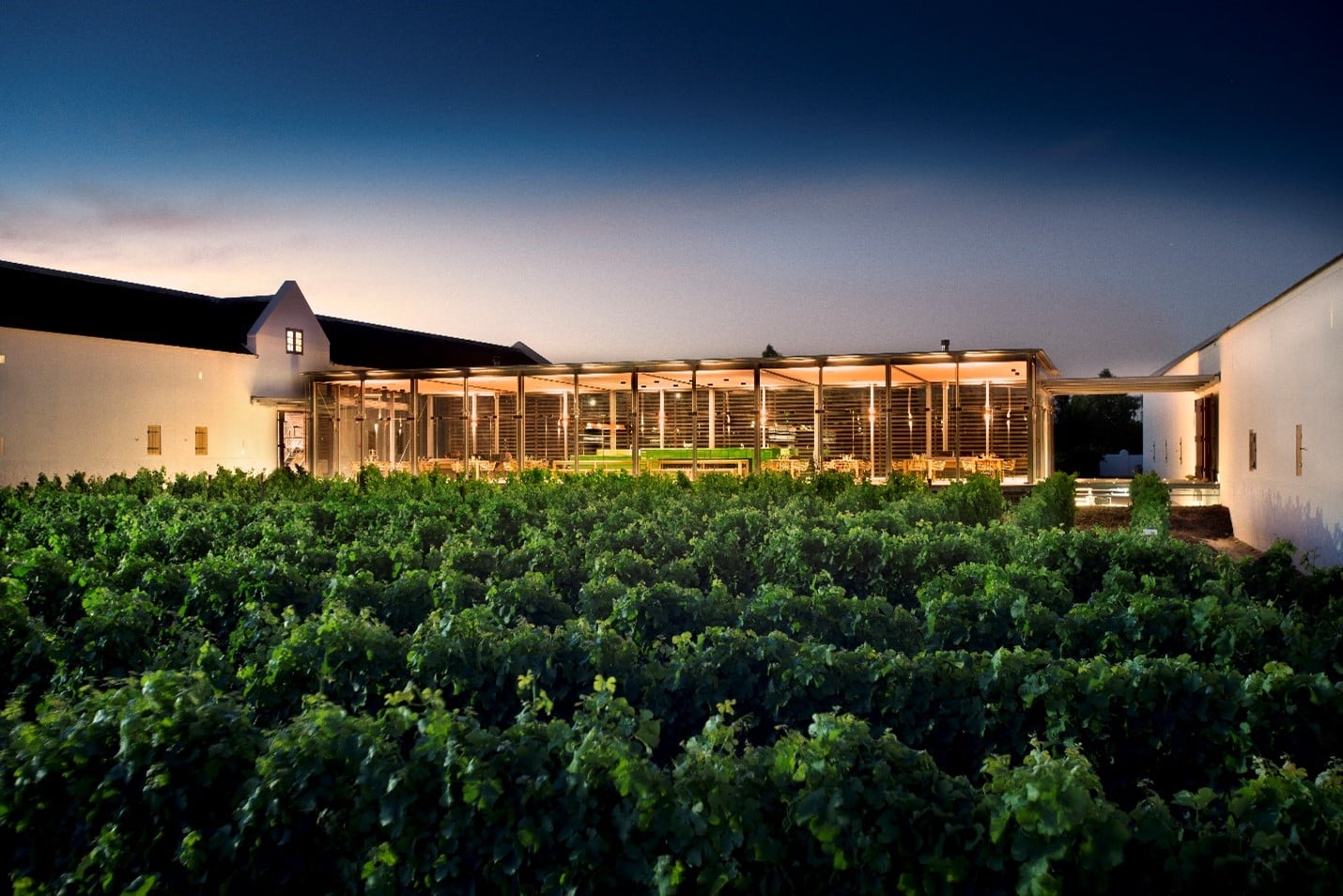 The Tasting Room at sunset — Babylonstoren