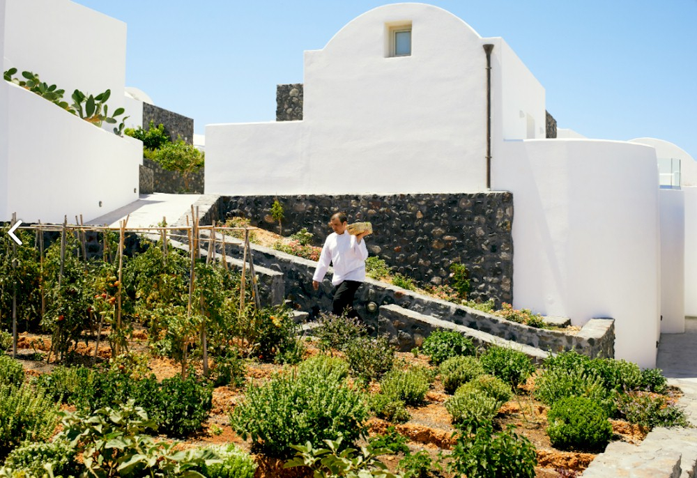 Sustainable farming at Santo Collection — Photo by Metaxa Hospitality Group