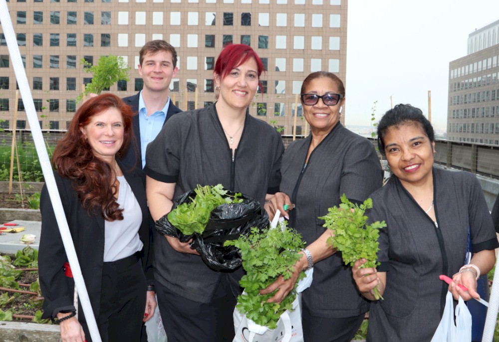 The qualitative impact that a partnership can have on markers such as Team Member morale can be significant, as demonstrated by Conrad New York Downtown’s urban farming garden partnership with Brooklyn Grange — Photo by Hilton
