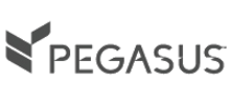 Pegasus