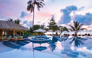 The Migration of the Immersion Wellness Resorts: Can Experiential Properties Sustain Global Models?