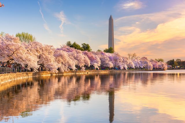How platforms like Booking.com help lodging partners grow their business while delivering savings for American consumers
