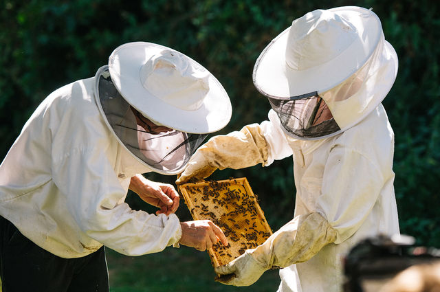 Relais & Châteaux Publishes Second Sustainability Report and Records Positive Gains Across Almost Every Indicator