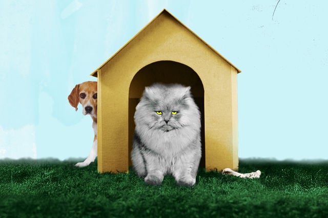 Booking: The Gatekeeper that won’t Let Go & What Hotels can do about it!