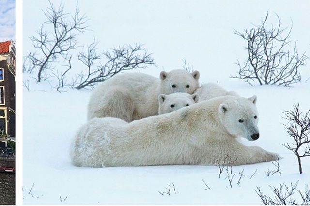 Virtuoso® Names the Nine Must-Have Experiences that Should be on Every Luxury Traveller’s List for 2025