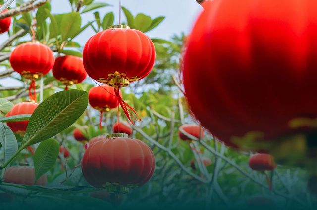 Redefining Food Consumption: Savoring Sustainability at Sofitel Sanya Leeman Resort, China