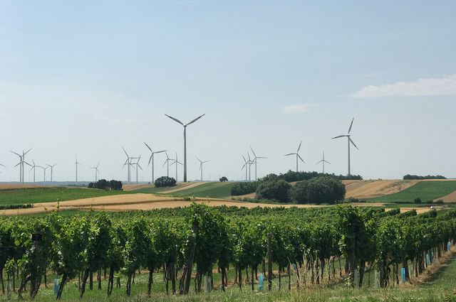 EU Green Deal: A Growth Strategy for New Economic and Business Models