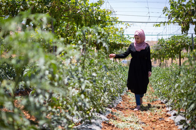 SPARK & Google.org launch Maharat for Tourism e-learning hub in Egypt