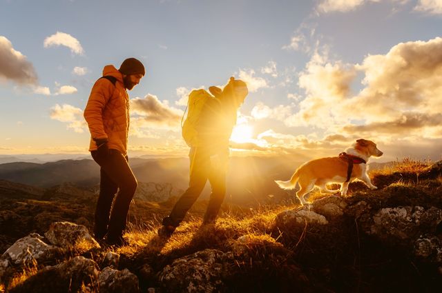 U.S. Travelers Undeterred by Tariffs and Recession Talk