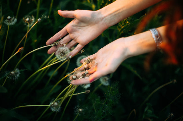 Revolutionizing Wellness in Hospitality: Scaling Well-Being Across Brands