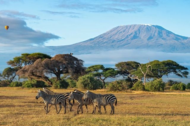 Kenya’s Travel & Tourism Sector Set to Inject a Record KSh1.2TN in 2025