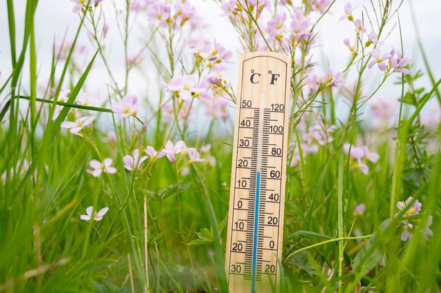 Heatwaves and tourism: when the heat redraws the holiday map