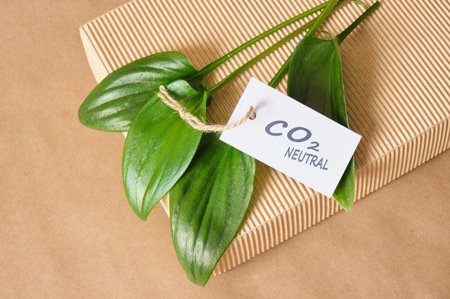 Why Your Hotel’s “Eco” Rating Might Not Be About Sustainability At All