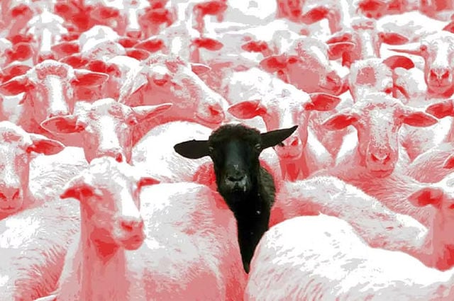 Stand Out or Fade Away: Rethinking Hotel Search and Distribution in the Agentic Era