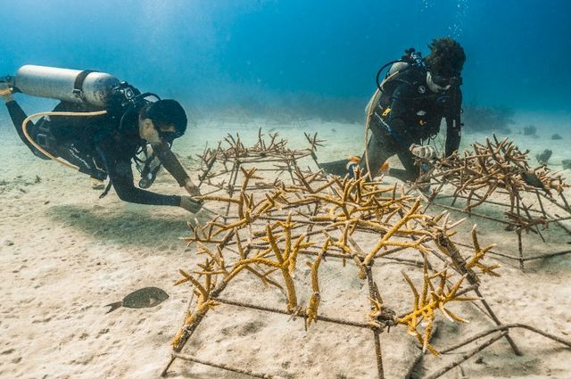 Redefining Hospitality Through Sustainability and Innovation