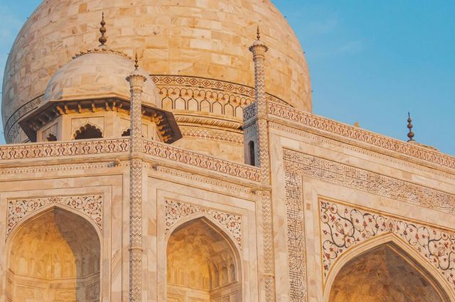 India Market Outlook: Reinvention drives growth