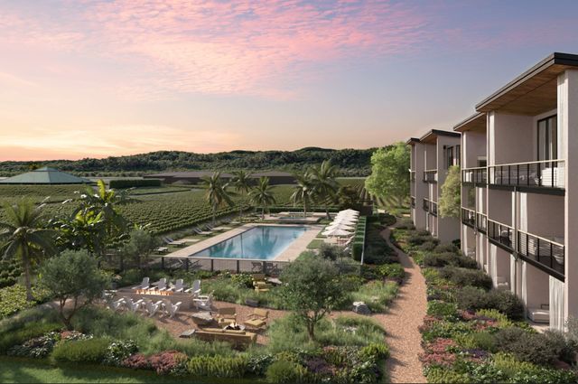The Elene to Open in Napa Valley Late Summer 2026
