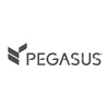 Pegasus Solutions