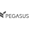 Pegasus Solutions