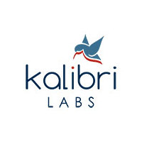 Federal Policy Turbulence Impacts U.S. Hotel Demand, Finds Kalibri Labs