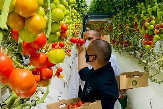 Hilton Partners With Fresh On Table to Double Its Commitment to Local Sourcing From UAE Farms