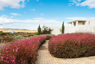 Accomodation Options in Paros